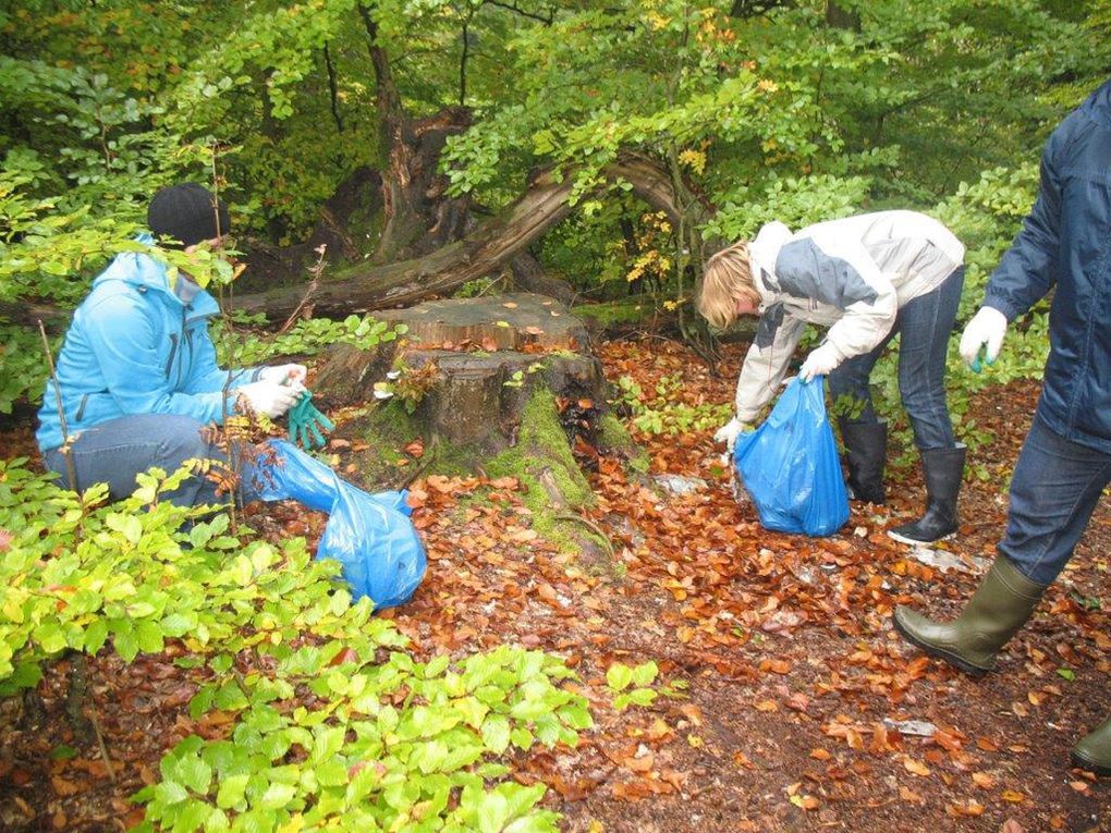 Sprzątanie lasów w Otominie