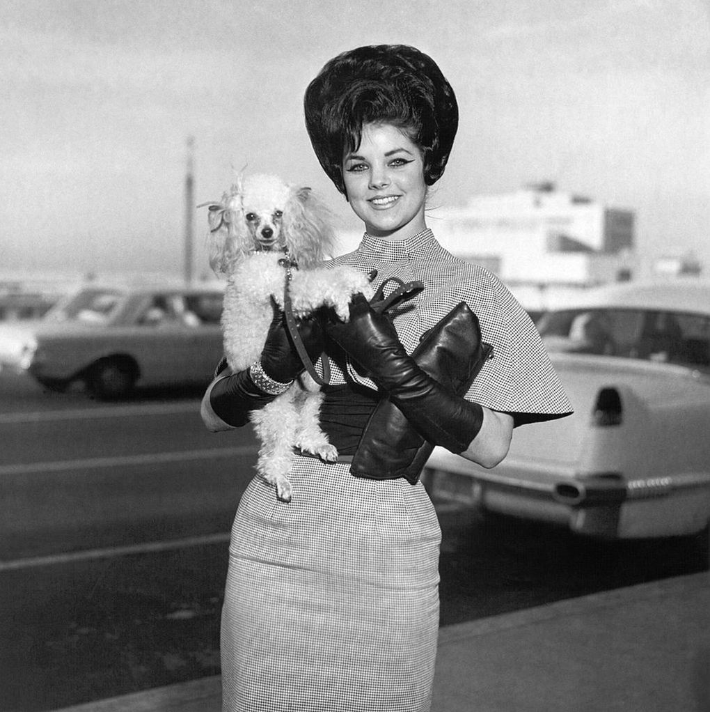 Priscilla Beaulieu-Presley, 1963