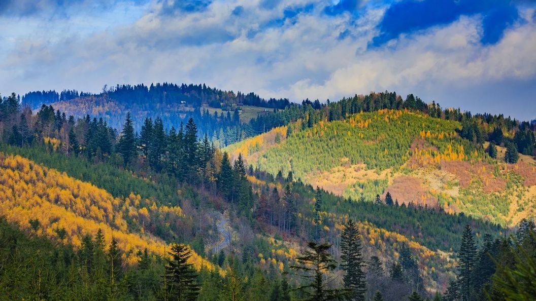Dom Wczasowy Stalownik Gródek Nad Dunajcem (1)