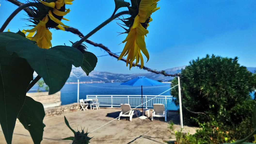 Apartmanok és Szobák A Tenger Mellett Lumbarda, Korcula - 14647 Lumbarda (1)