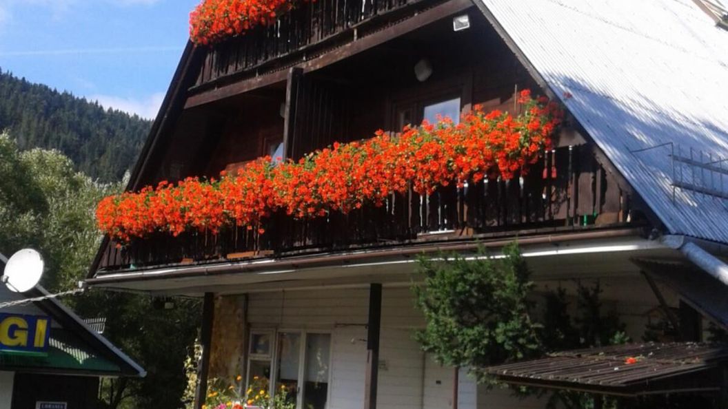 Domapol Zakopane (1)