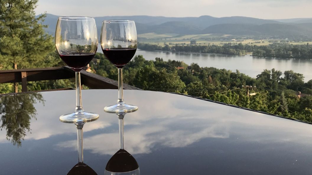 Orchidea Vendégház Zebegény (1)