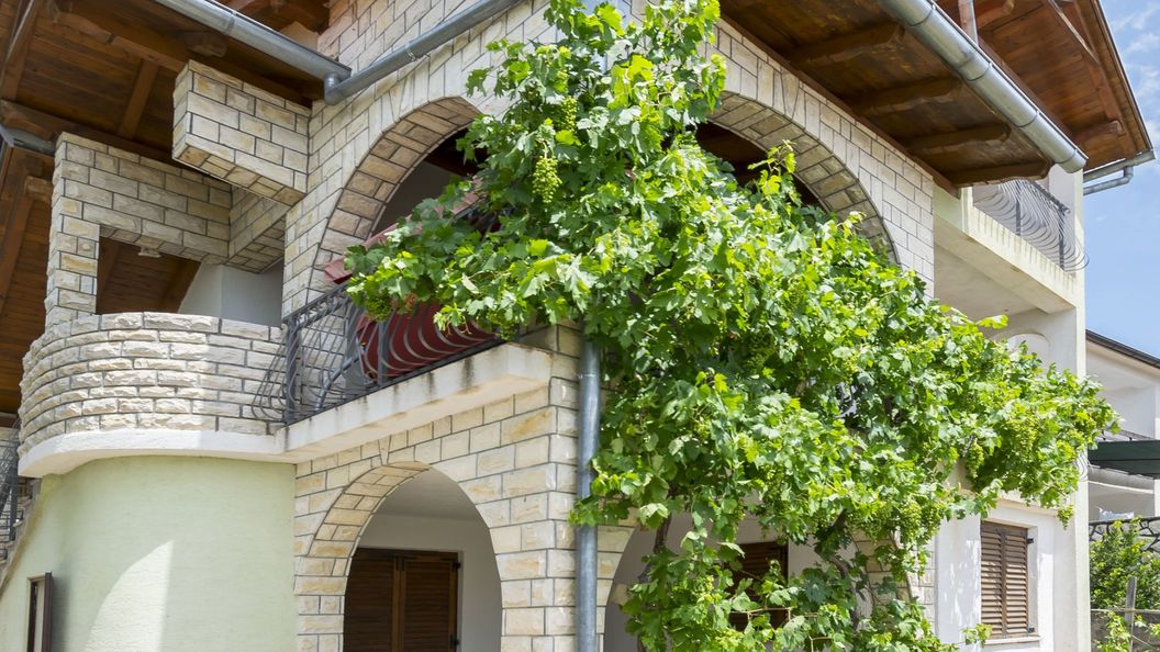 House Iva Maslenica (1)