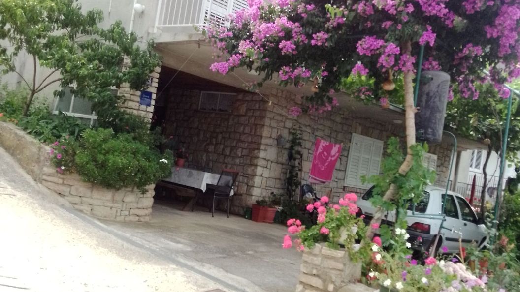 Apartment Anka Primosten (1)