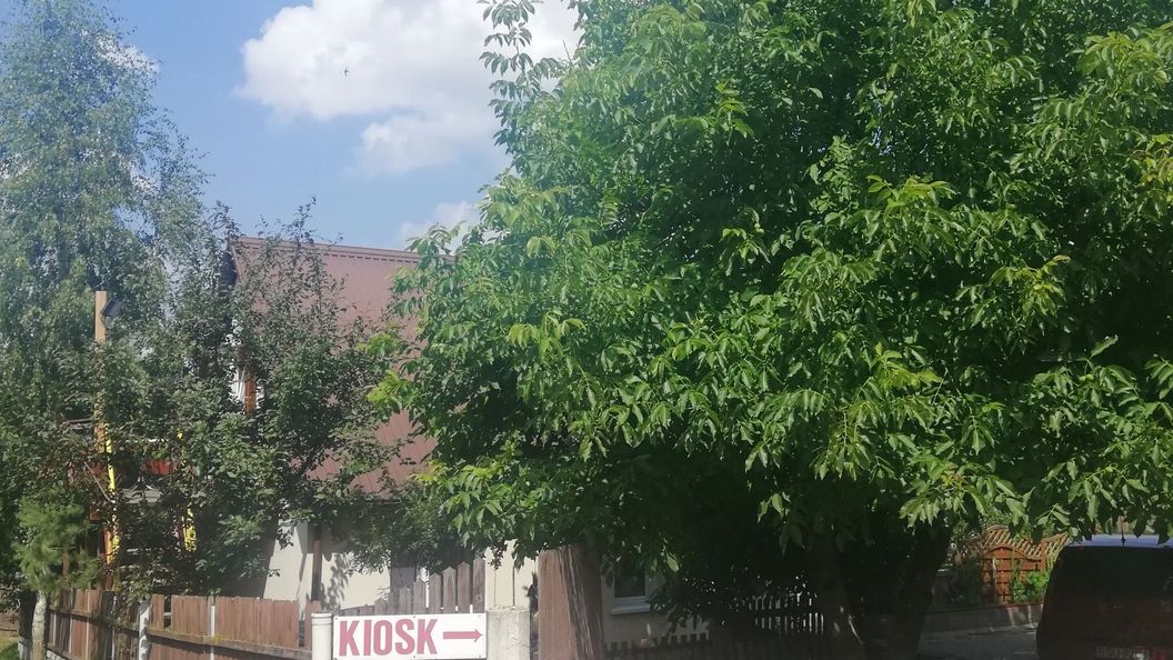 Aura noclegi Suwałki (1)