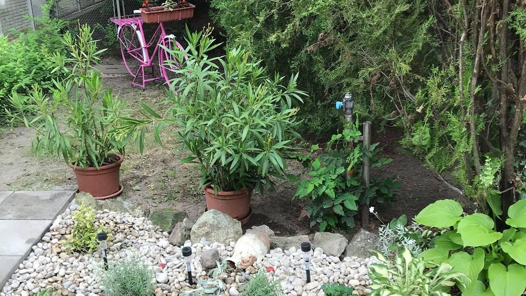 Piroska Apartman Siófok (1)