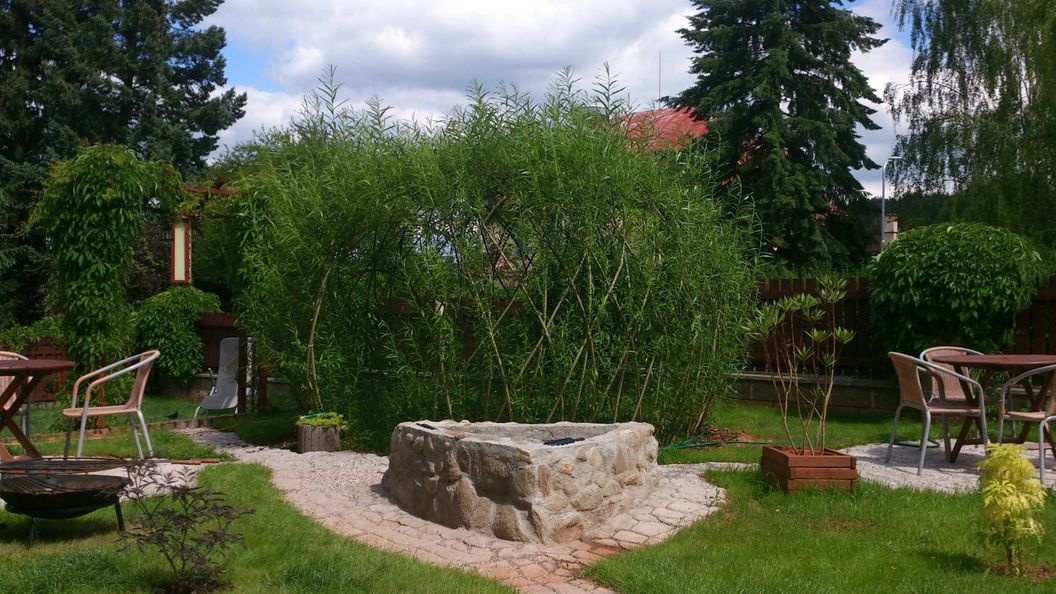 Hotel Alfa Trutnov (1)