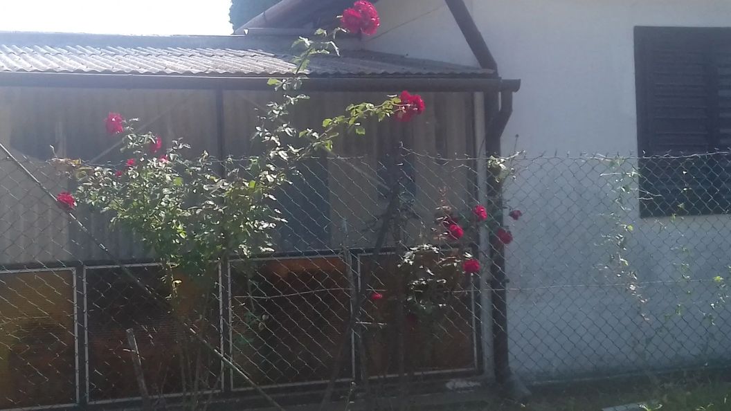 Csokonai Apartman Balatonfenyves (1)