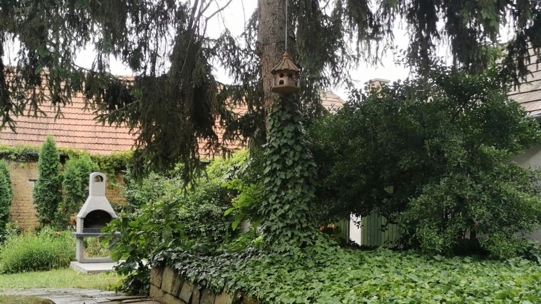 Nagymarosi Vadszőlős Vendégház Nagymaros (1)