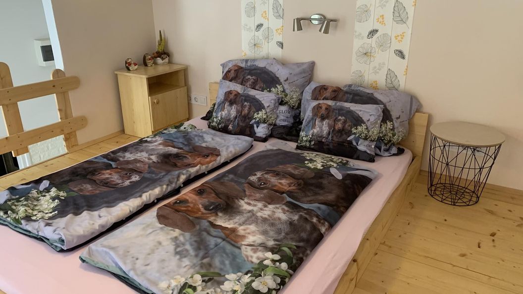 Város Szíve Apartman Kaposvár (1)