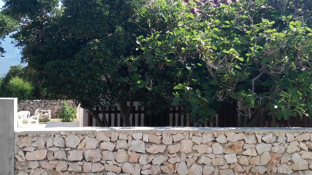 House Ana Razanac (1)