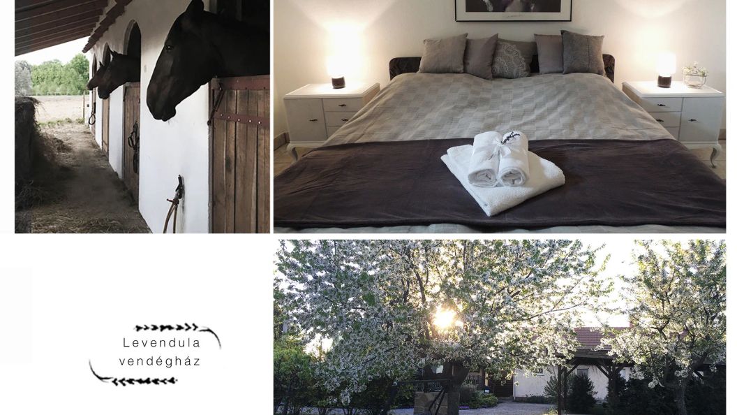 Levendula Vendégház Borsodivánka (1)