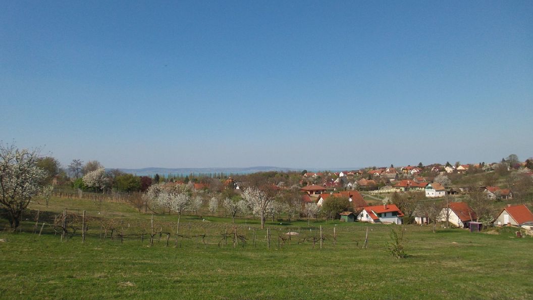 Levendulás Vendégház Zamárdi (1)