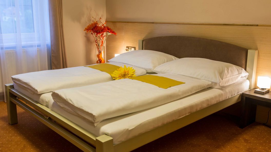 Hotel Lužnice Planá nad Lužnicí (1)