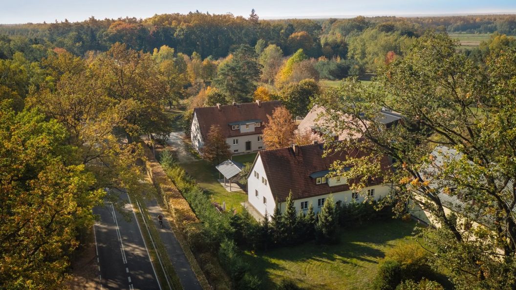 Noclegi Leśniki Babimost (1)