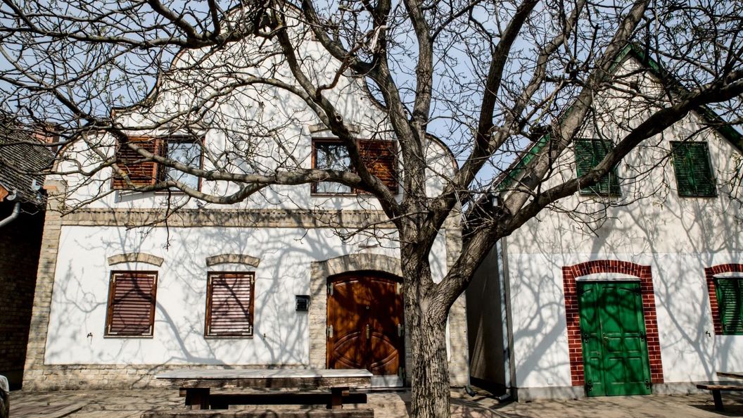 Berger Pince és Vendégház Hajós (1)