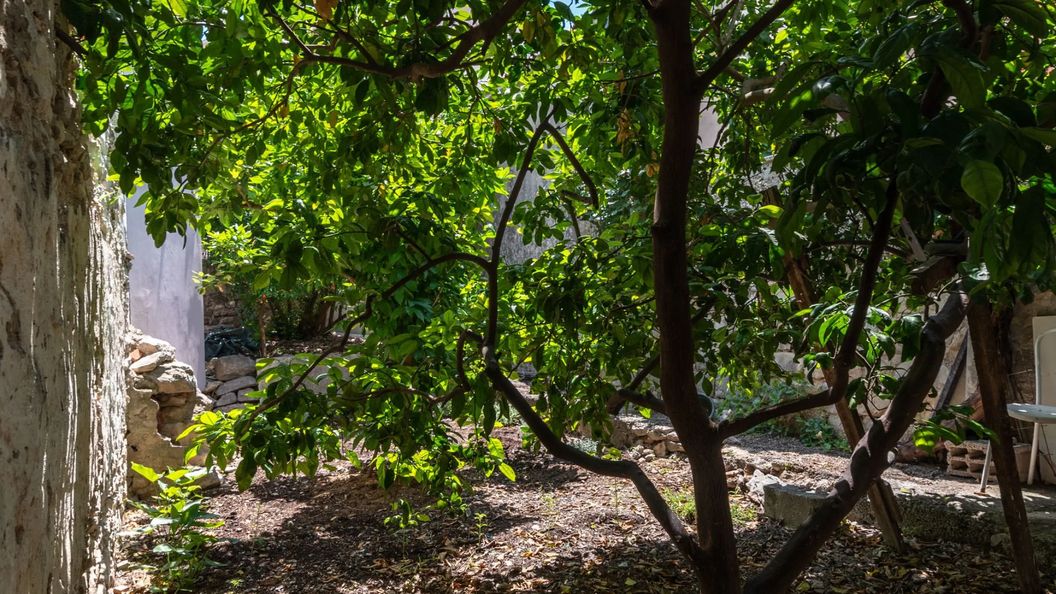 House POLUŠ Trogir (1)