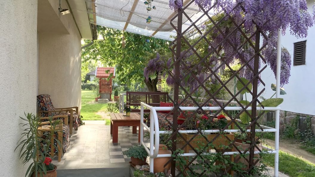 Rozica Apartman Balatonboglár (1)