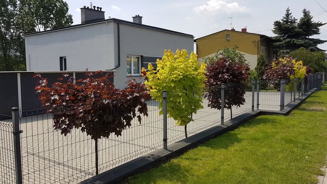 Apartament Angelo Sosnowiec (1)