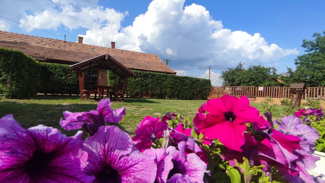 Meggyfa Vendégház Körösszakál (1)