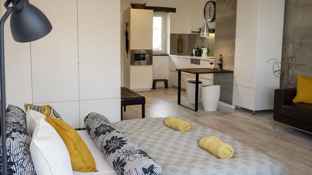 Loft Apartment Pécs (1)