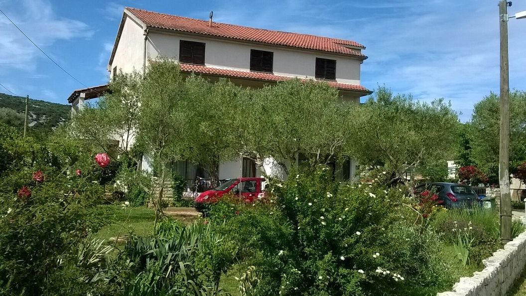 Apartmanok A Tenger Mellett Tkon, Pasman - 16275 Tkon (1)