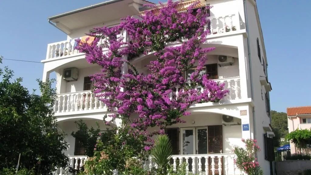 Apartmanok A Tenger Mellett Barbat, Rab - 17620 Barbat (1)