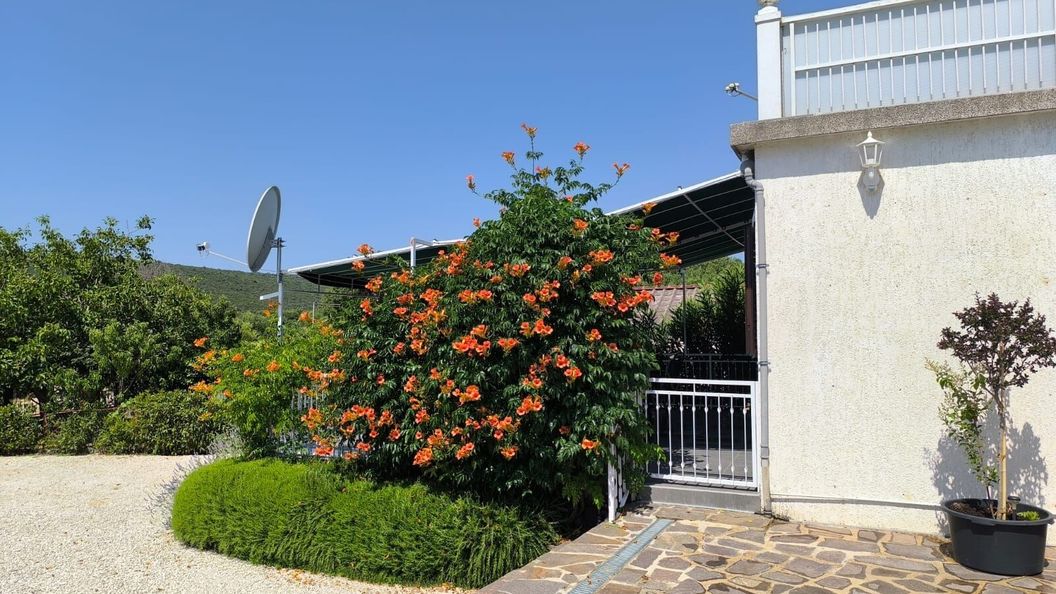 Apartment Snjezana Marina (1)