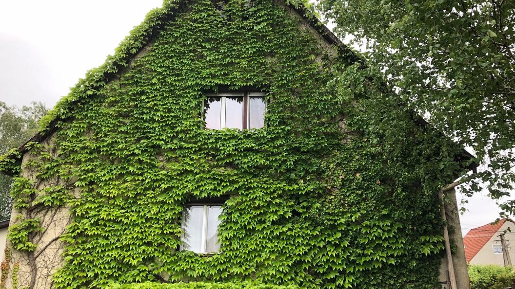 Veranda Apartman Nyíregyháza (1)