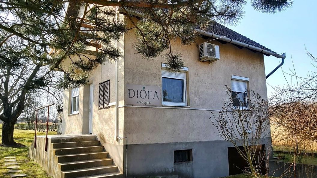 Diófa Vendégház Daruszentmiklós (1)