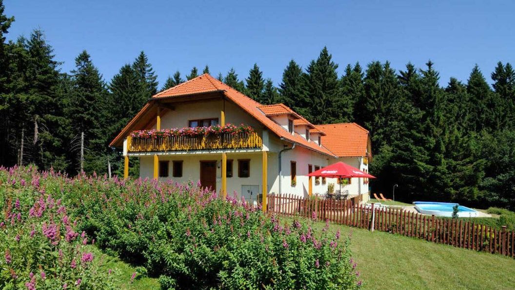 Penzion Patrik Mikulčin Vrch Vápenice (1)