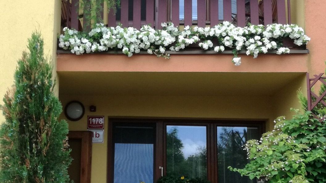 Penzion Dvořák Pavel U Stromovky 1B České Budějovice (1)