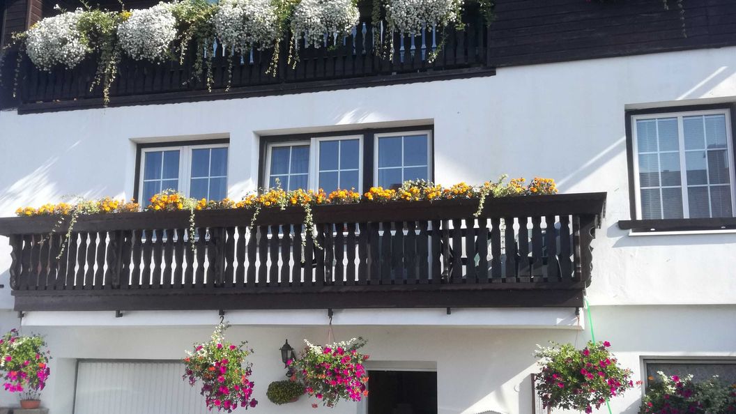 Pension Pugner Vysoké nad Jizerou (1)