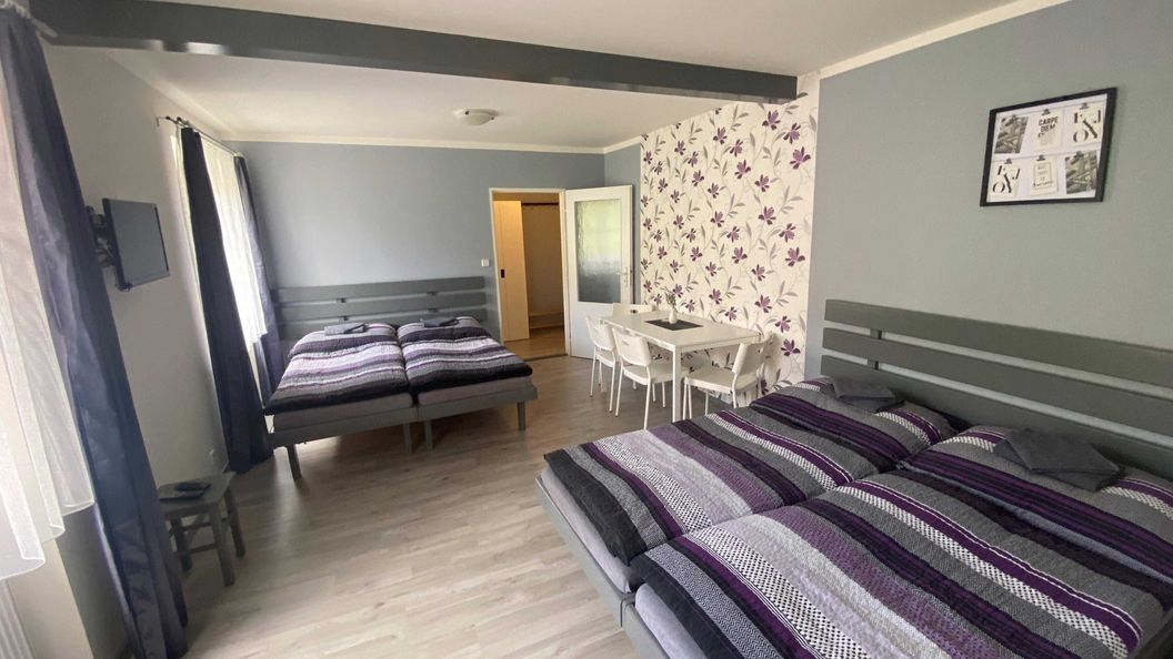 Penzion Kamejk Kamýk nad Vltavou (1)