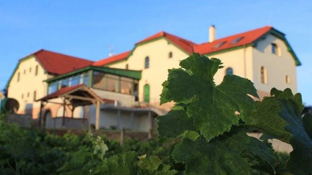 Hotel Vinohrad Milotice (1)