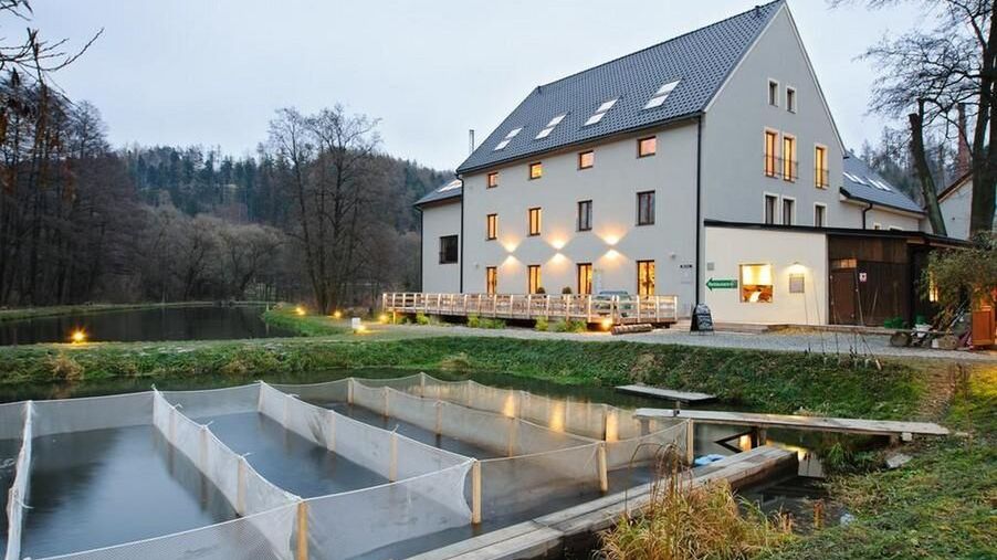 Davidův mlýn Staré Těchanovice (1)