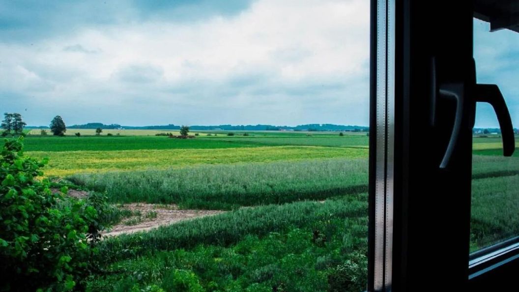 Pasieka Smakulskich Pakosław  (1)