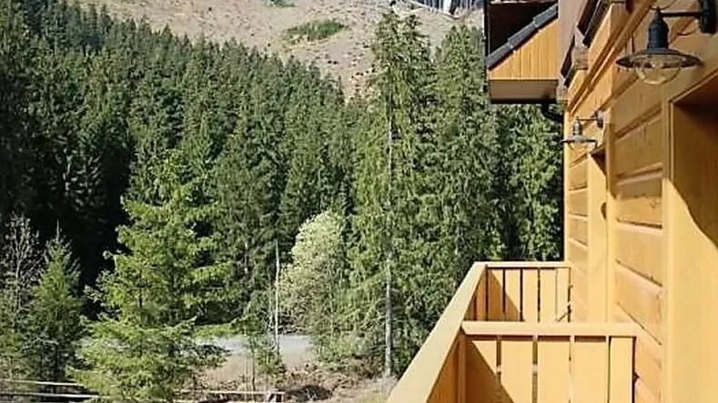 Chata Jasná Lúčky 190 Demänovská Dolina (1)