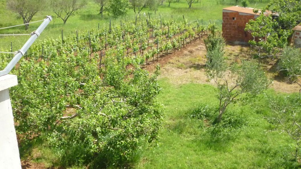 Apartment RADA Posedarje (1)