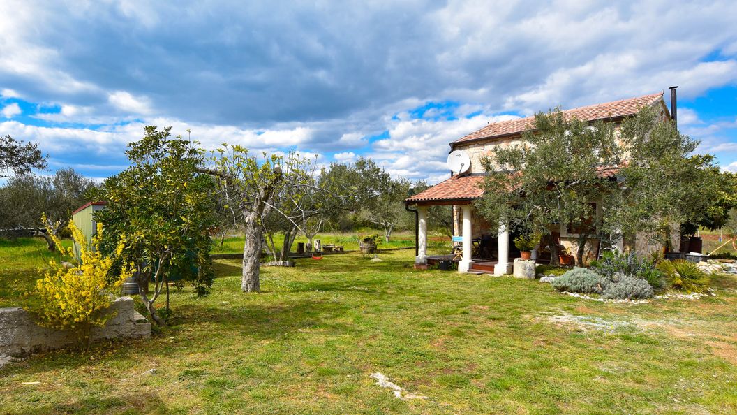 House Flamingo Pasman (1)