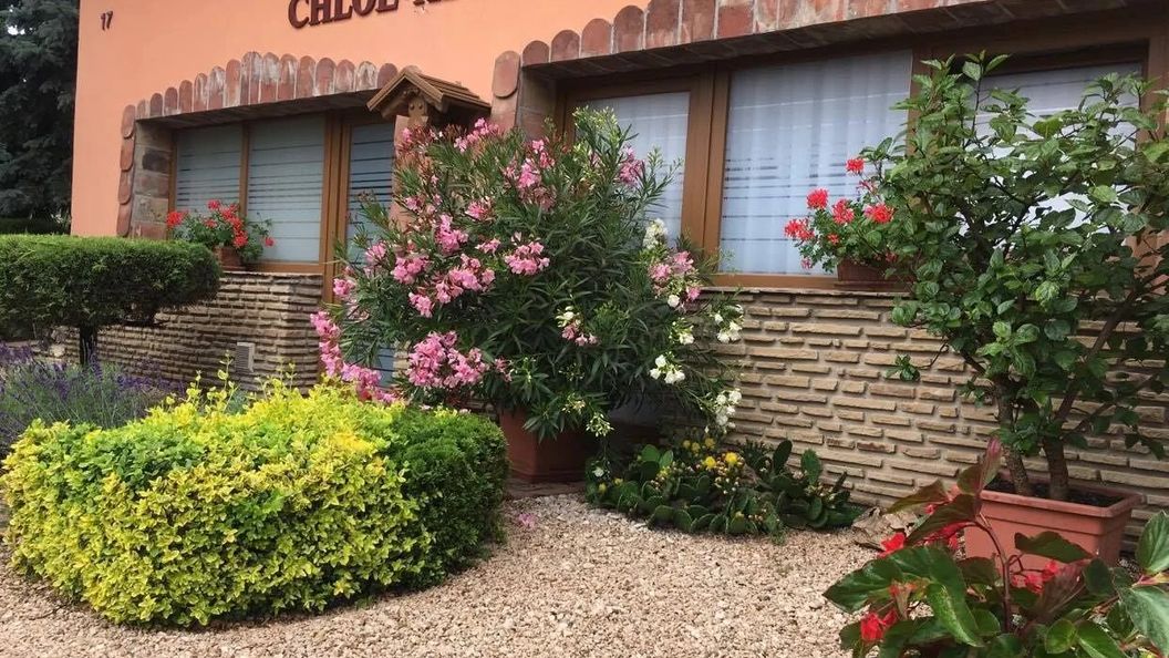 Chloe Apartman Szigetvár (1)