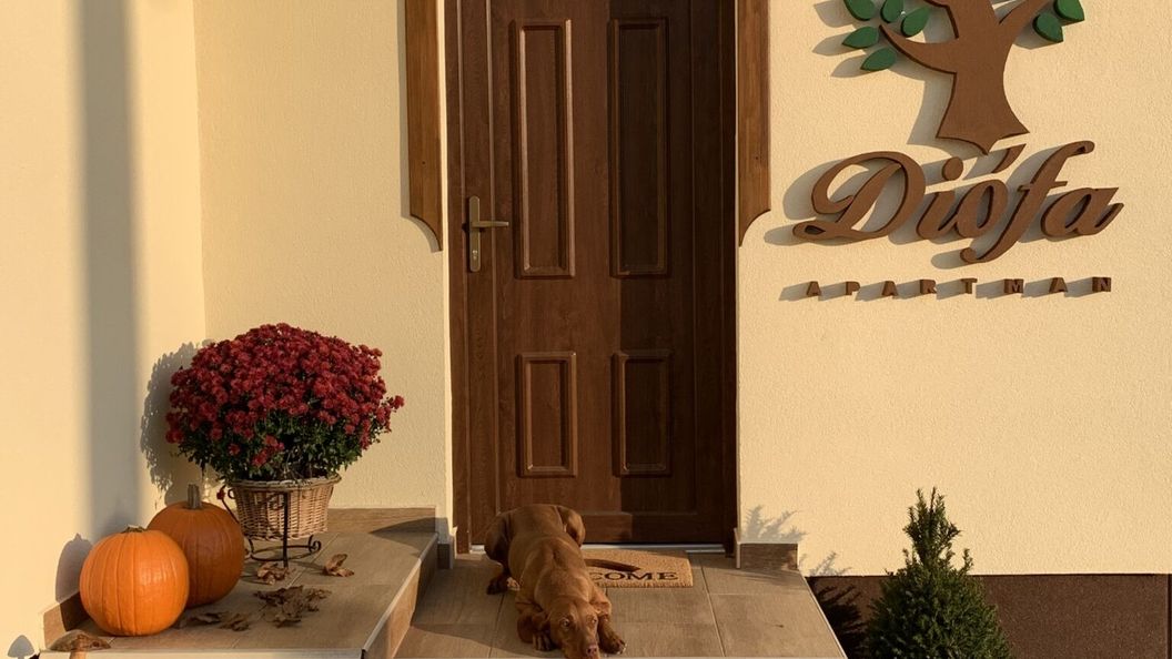 DIÓFA Apartmanház Edelény (1)