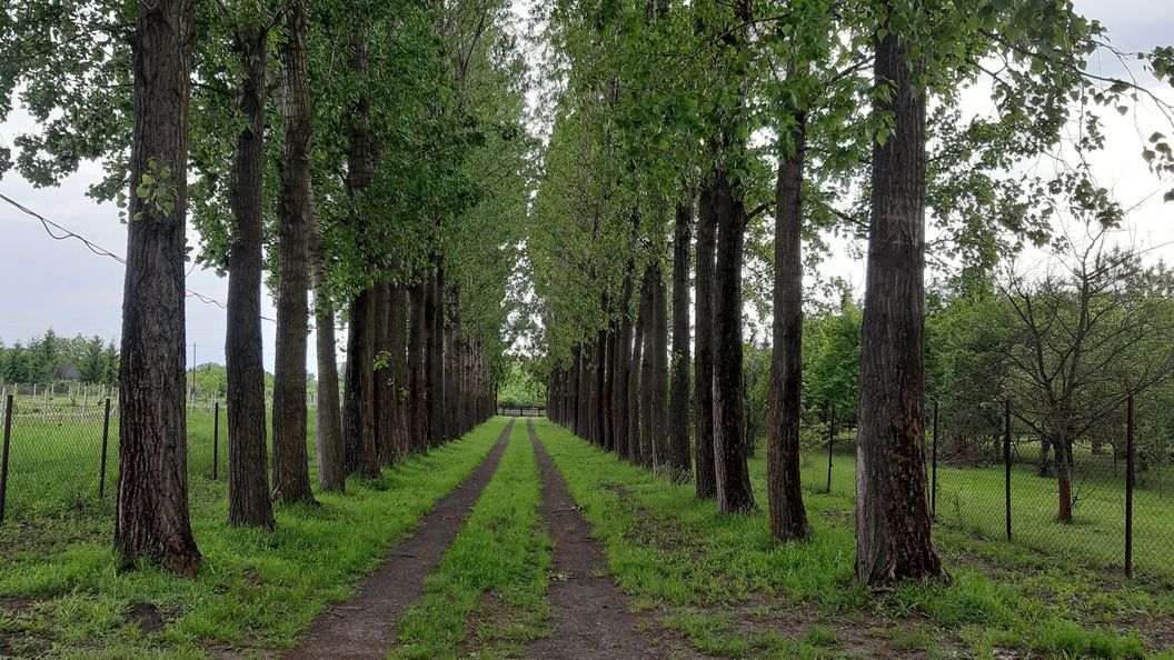 Matula Horgász Nyaraló Gyomaendrőd (1)