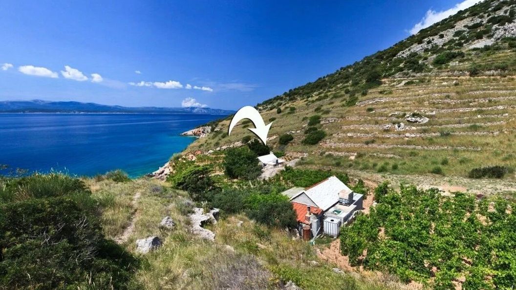 Robinson House Capitano Bol (1)