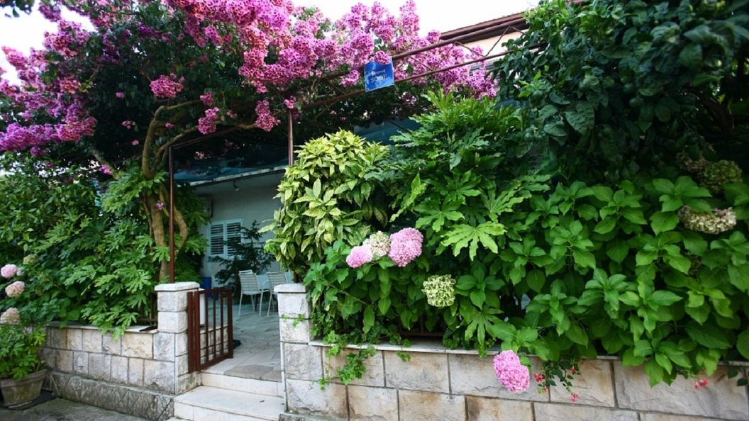 Apartmanok A Tenger Mellett Loviste, Peljesac - 15150 Lovište (1)