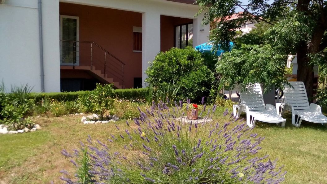 Apartments With Parking Space Kampor, Rab - 17886 Kampor (1)