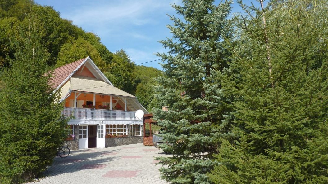 Casa de Oaspeți Simon Csilla 1. Satu Mare (1)