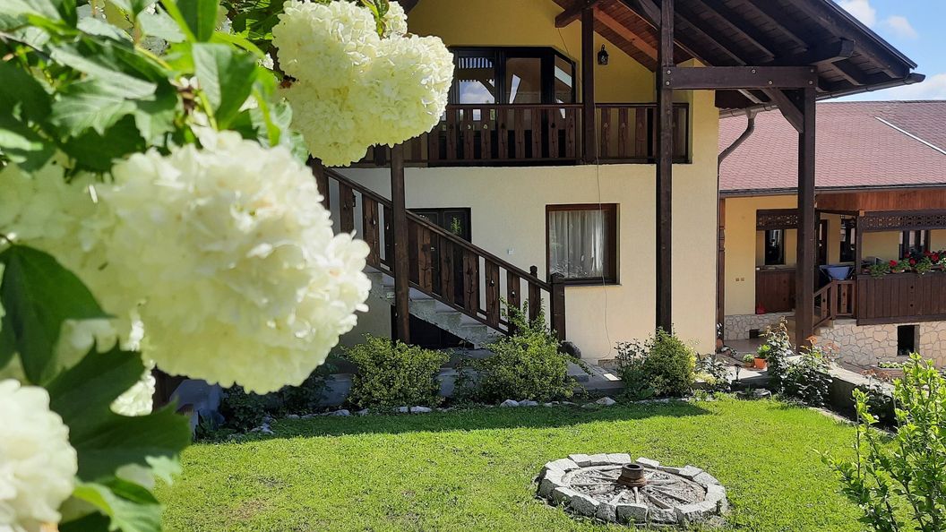 Casa de oaspeți Cifra Sâncraiu (1)