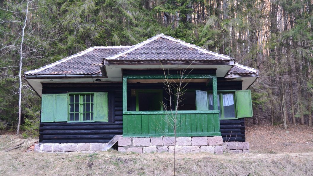 Cabana Ursului Bățanii Mici (1)