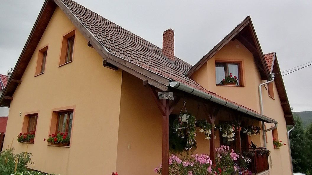 Casa de oaspeți Gergely Zetea (1)